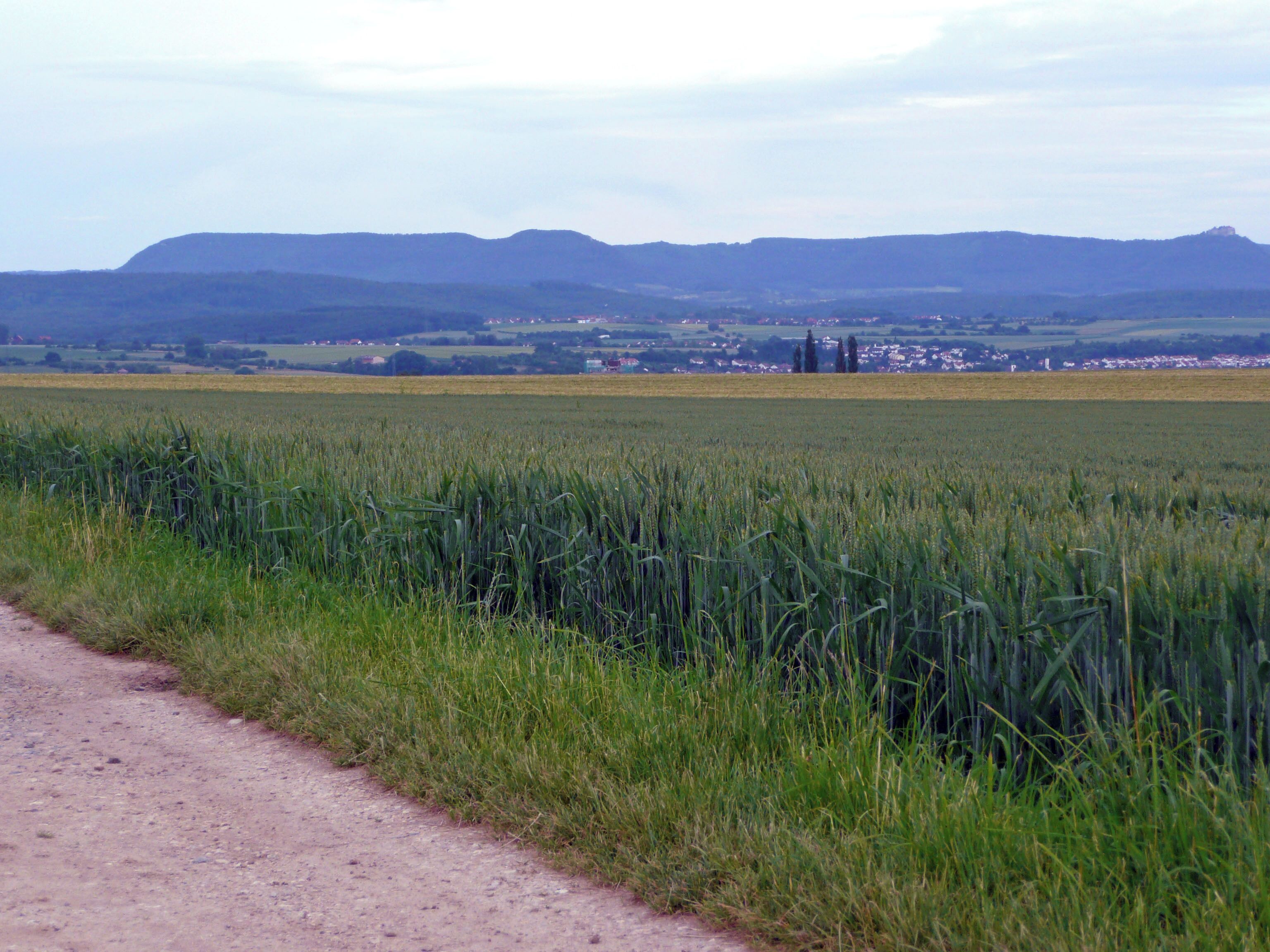 A rural landscape with a dirt path, a field of crops, distant hills, and a small settlement.