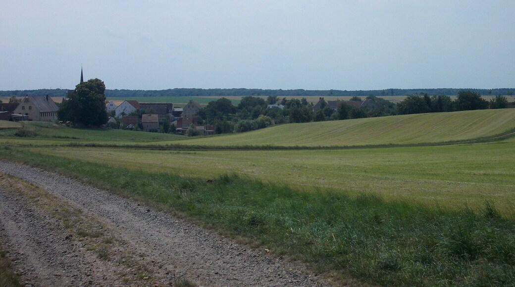 Jahnshain (Kohren-Sahlis, Leipzig district, Saxony) from the north