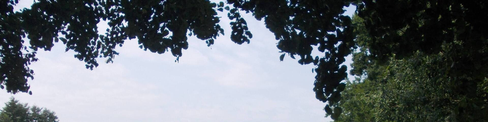 Lindenteich near Linda (Kohren-Sahlis, Leipzig district, Saxony)