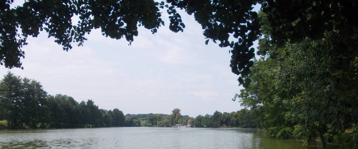 A calm lake surrounded by dense trees and a distant boat.