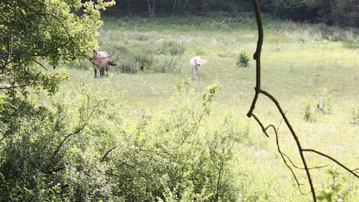 Tröbsdorf (Laucha), the valley of the Biberbach