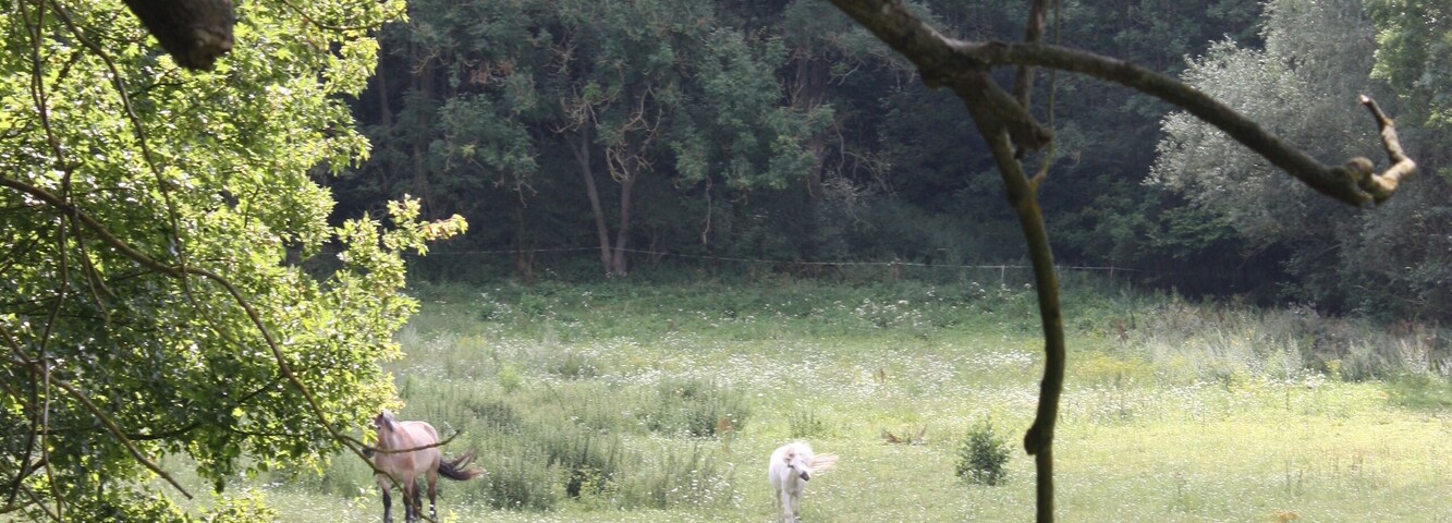 Tröbsdorf (Laucha), the valley of the Biberbach