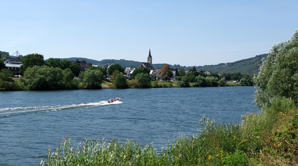 Blick über die Mosel auf Lösnich