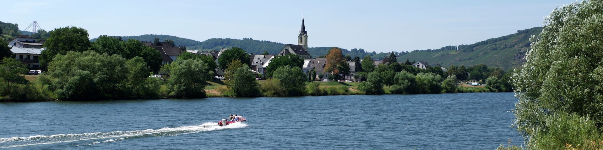 Blick über die Mosel auf Lösnich
