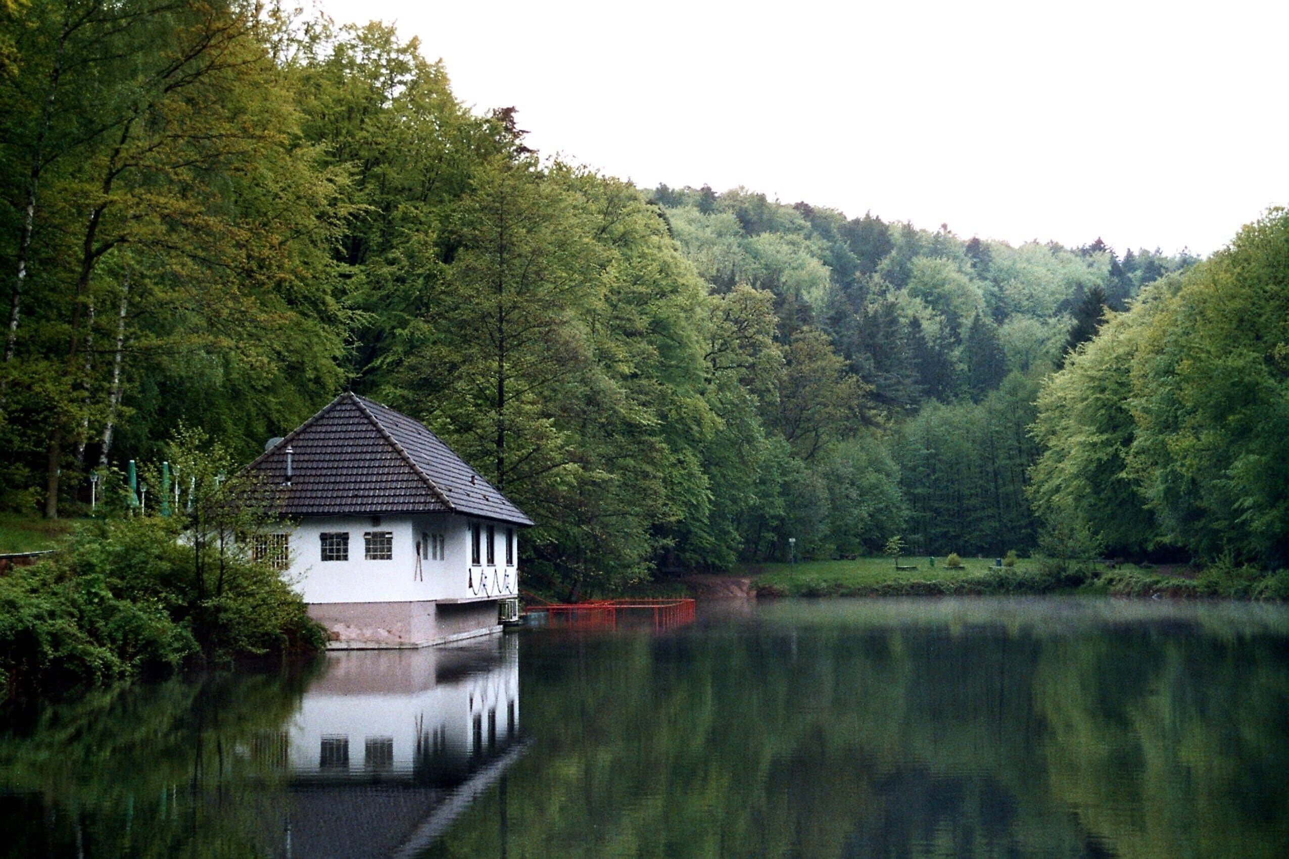 Kindsbach, pond in the Bärenloch