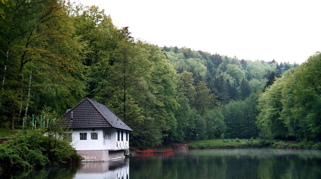 Kindsbach, pond in the Bärenloch