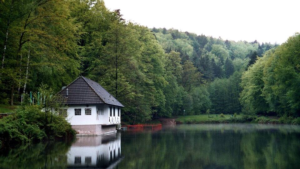 A house by a calm lake surrounded by dense forest.