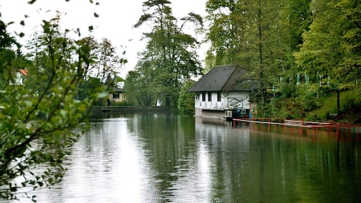 Kindsbach, pond in the Bärenloch