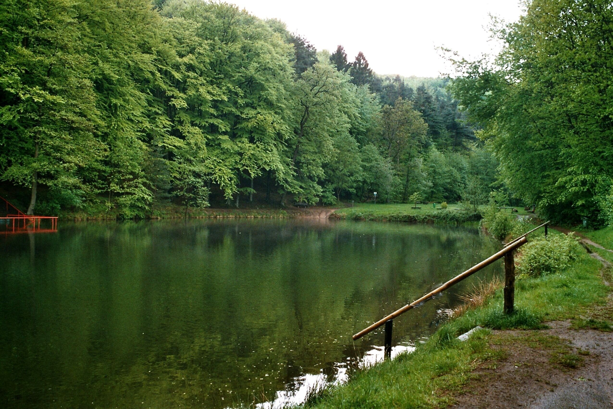 Kindsbach, pond in the Bärenloch