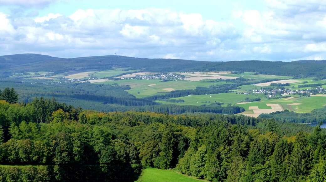 Allenbach, Wirschweiler, Sensweiler und Langweiler – von der Wildenburg aus gesehen