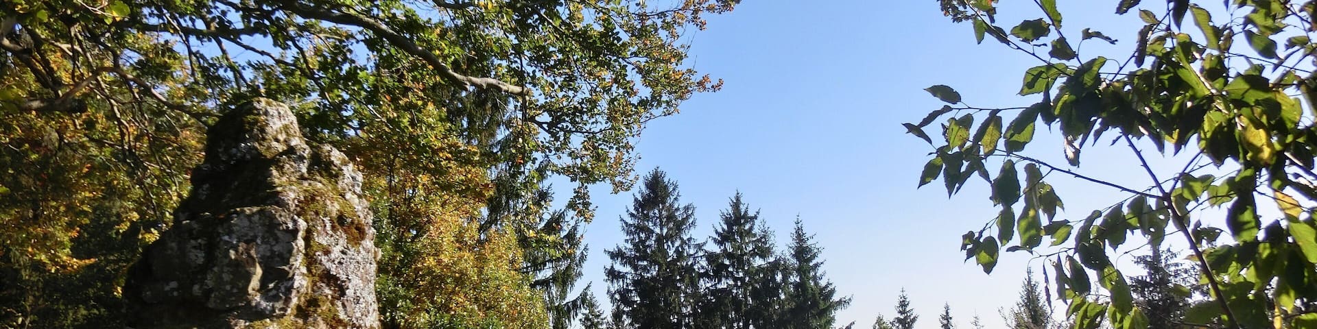 Aussichtsbank am Anzenstein