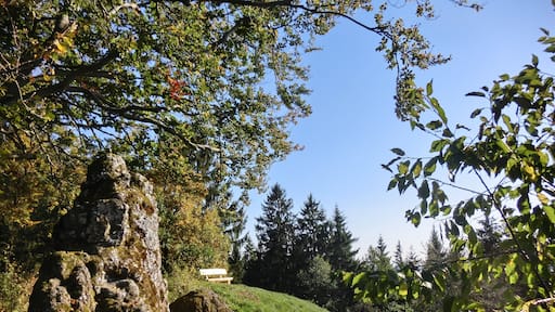 Aussichtsbank am Anzenstein