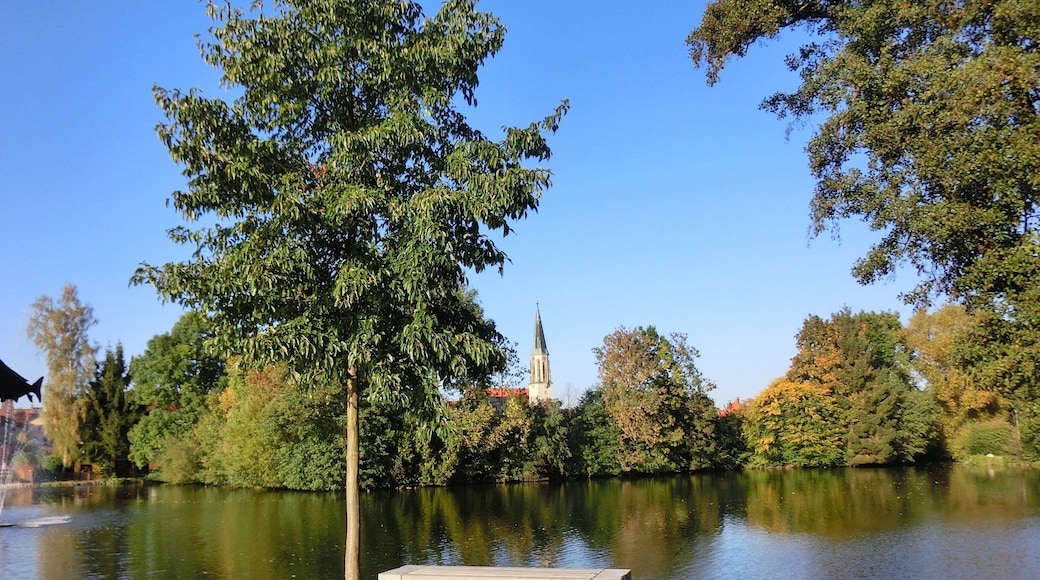 Rastplatz am Seeweiher