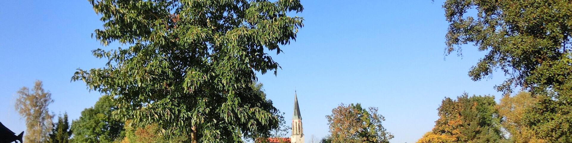 Rastplatz am Seeweiher
