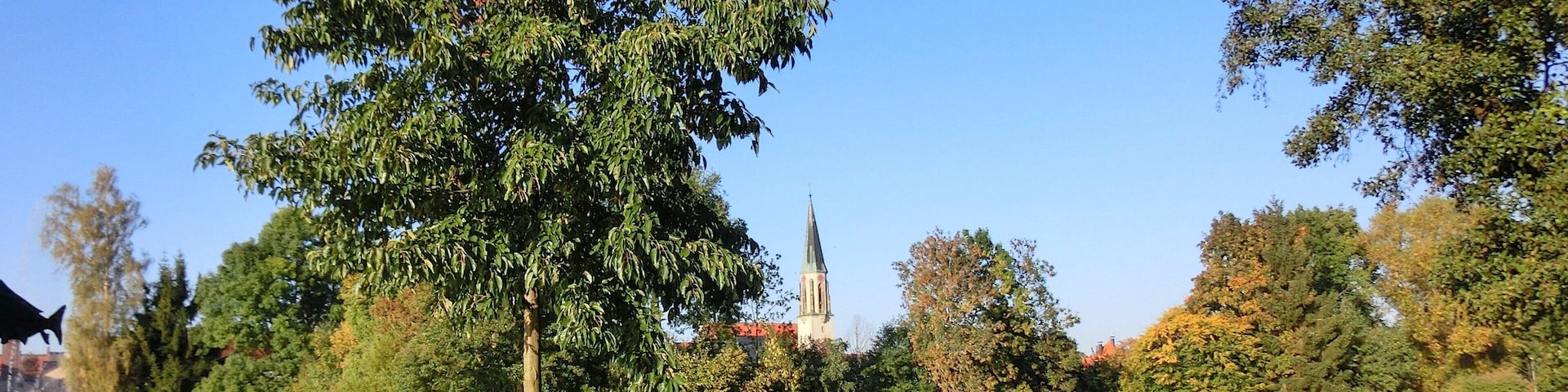 Rastplatz am Seeweiher