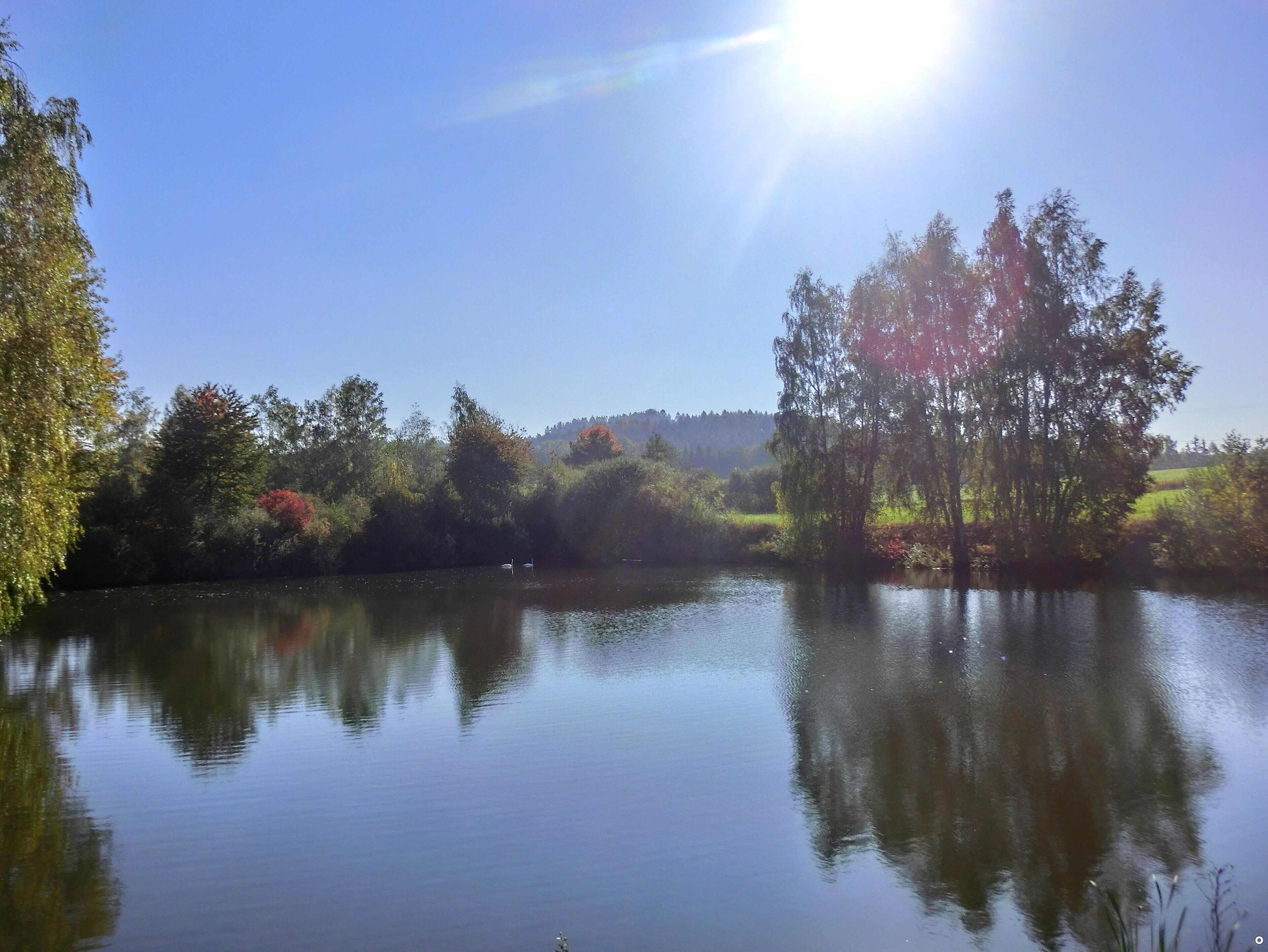 Weiher im Deißental