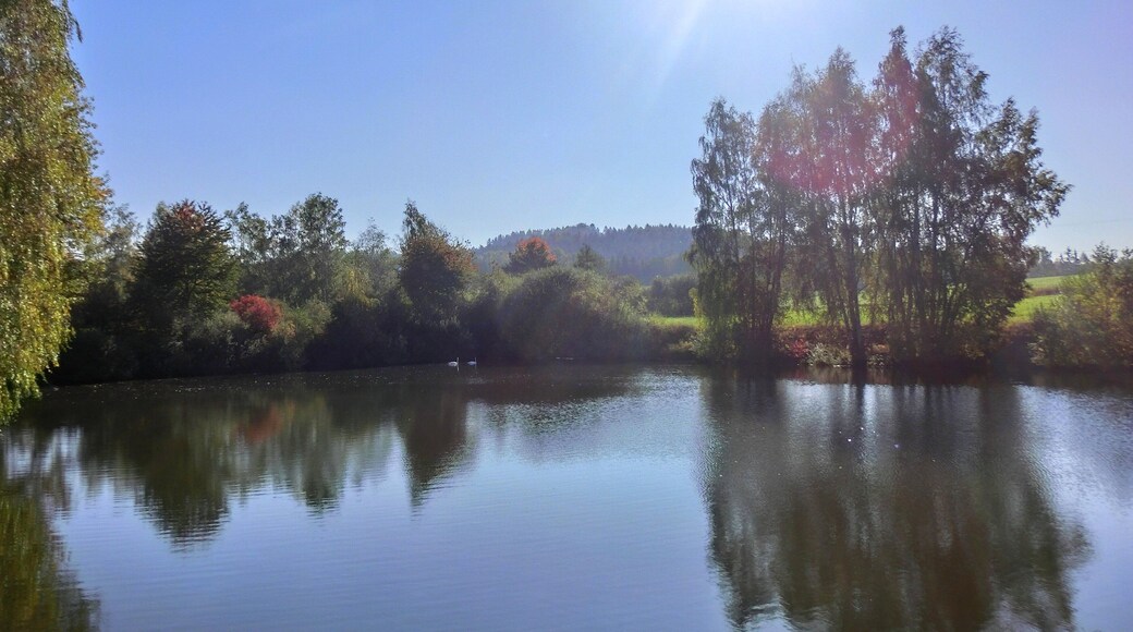 Weiher im Deißental