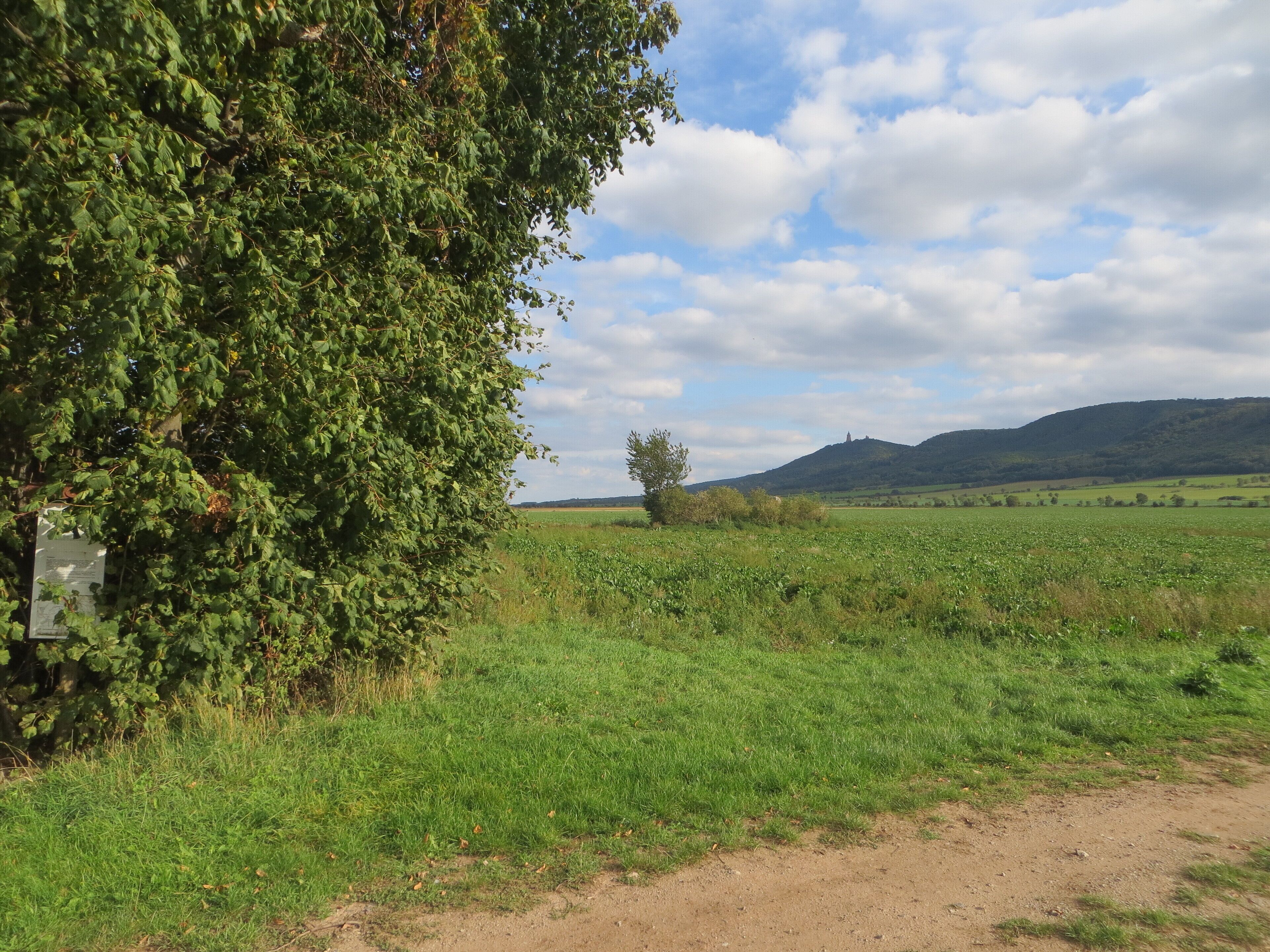This is a photograph of an architectural monument. It is on the list of cultural monuments of Kelbra (Kyffhäuser), no. 094 84697
