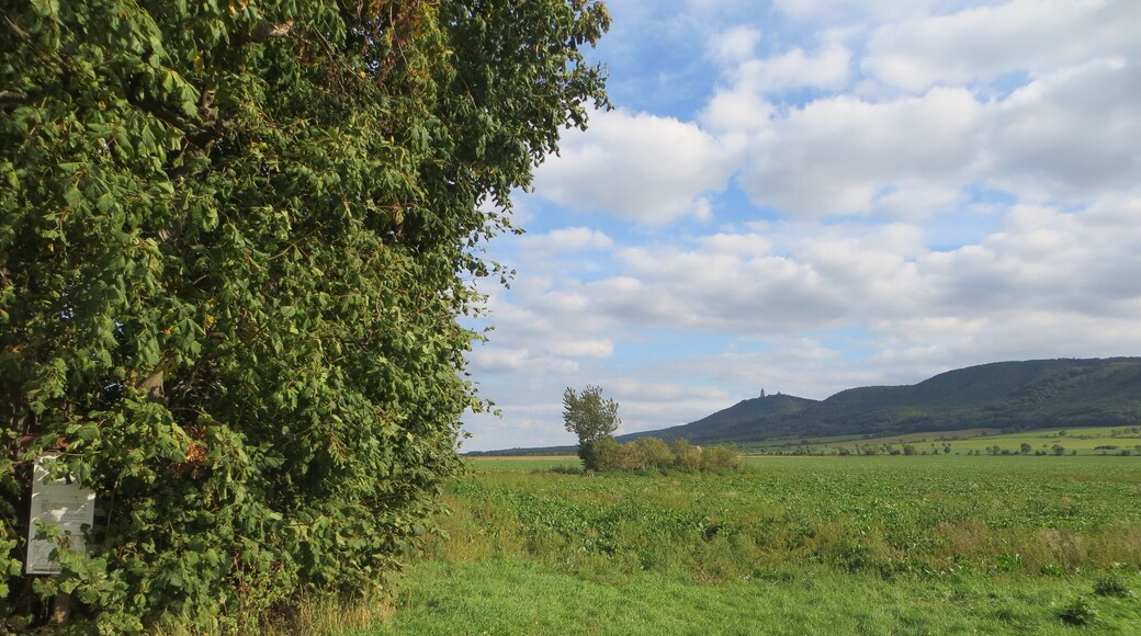 This is a photograph of an architectural monument. It is on the list of cultural monuments of Kelbra (Kyffhäuser), no. 094 84697
