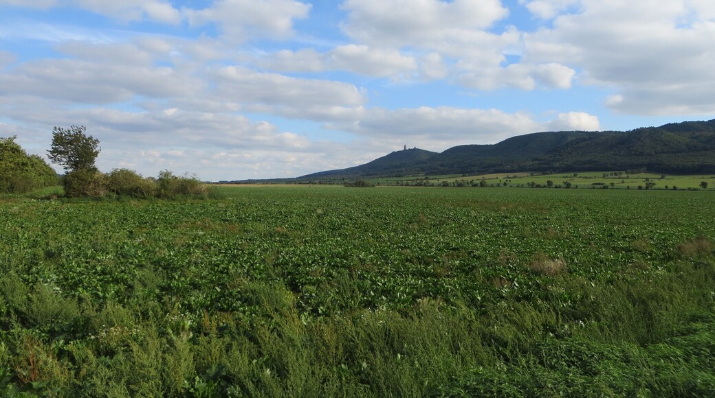 This is a photograph of an architectural monument. It is on the list of cultural monuments of Kelbra (Kyffhäuser), no. 094 84697