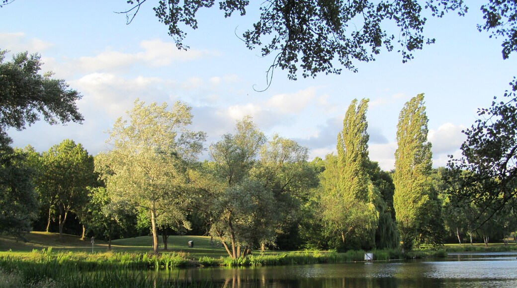das Nordufer vom Steinertsee in Kaufungen