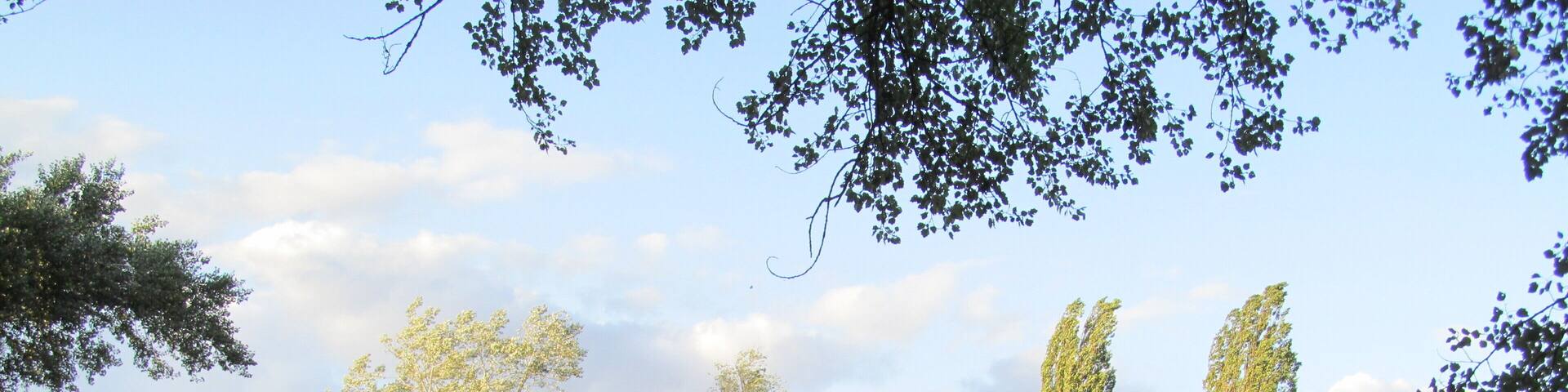 das Nordufer vom Steinertsee in Kaufungen