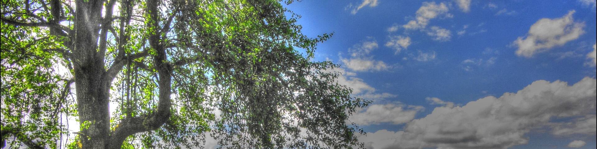 Frühling im Kandertal.