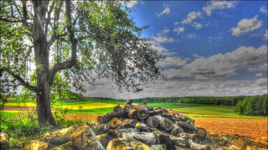 Frühling im Kandertal.