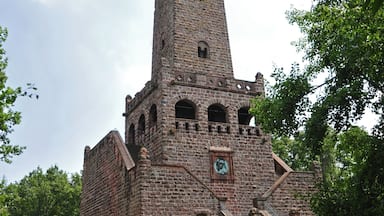 Un'alta torre in pietra con orologio e antenna, circondata da alberi.