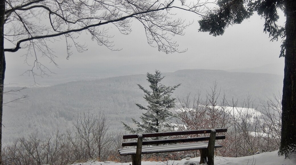 Ausblick vom Schwäbische-Alb-Nordrand-Weg HW1 bei der Himberg Hütte 854 m. ü. NN