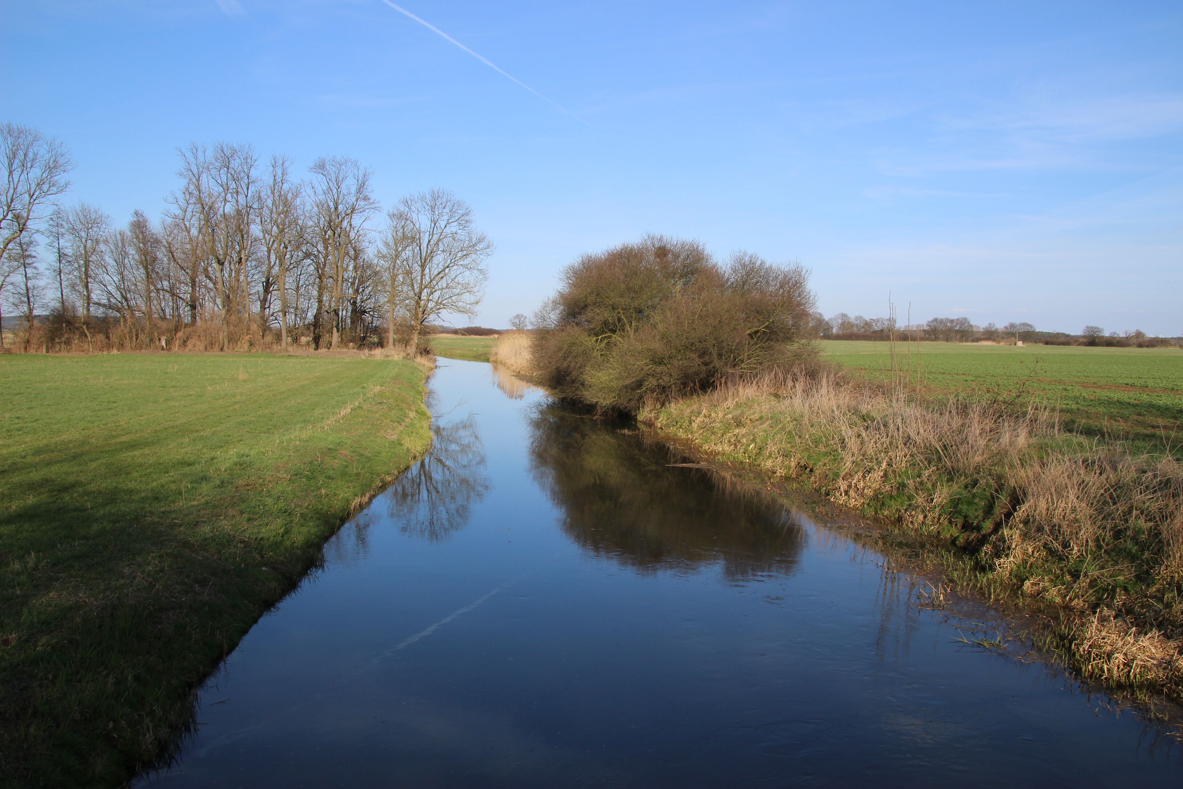 A calm river with grassy banks and leafless trees in a rural landscape.