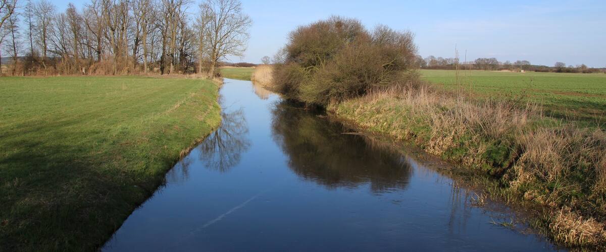 A calm river with grassy banks and leafless trees in a rural landscape.