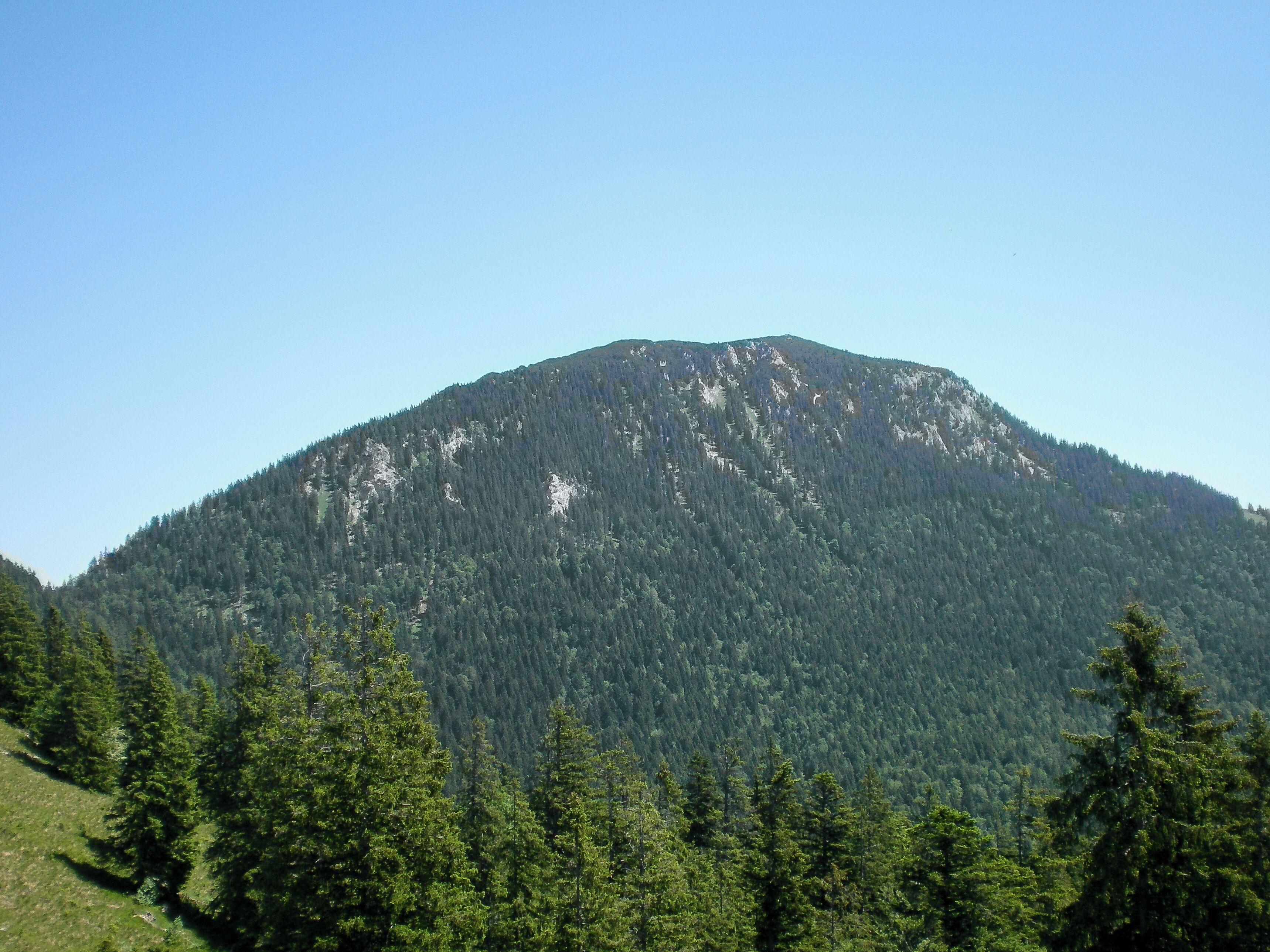 Benediktenwand von der Achala Alm aus.