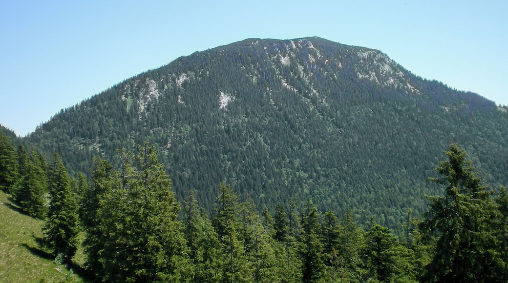 Benediktenwand von der Achala Alm aus.