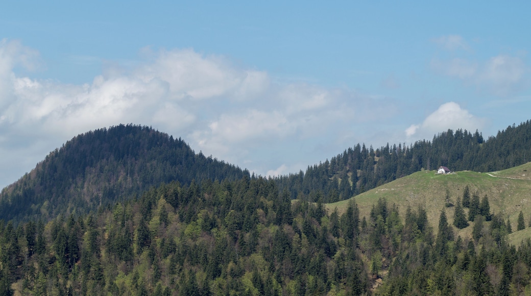 Blick von der Achala Alm zum Bergelskopf (links) und der Staffelalm.