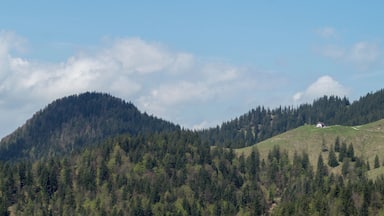 Blick von der Achala Alm zum Bergelskopf (links) und der Staffelalm.