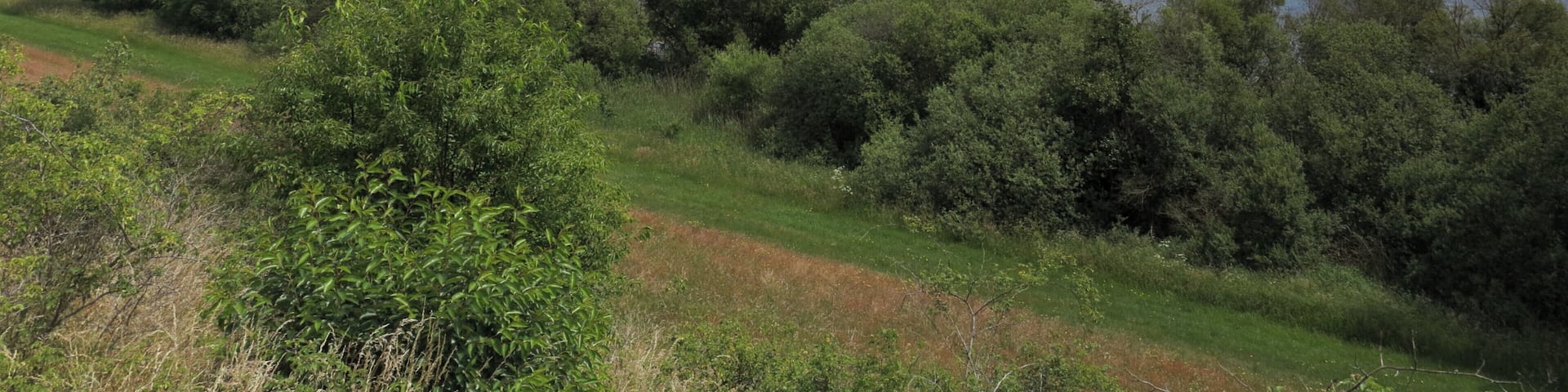 Der Kranichsmoorsee im Landkreis Gifhorn.