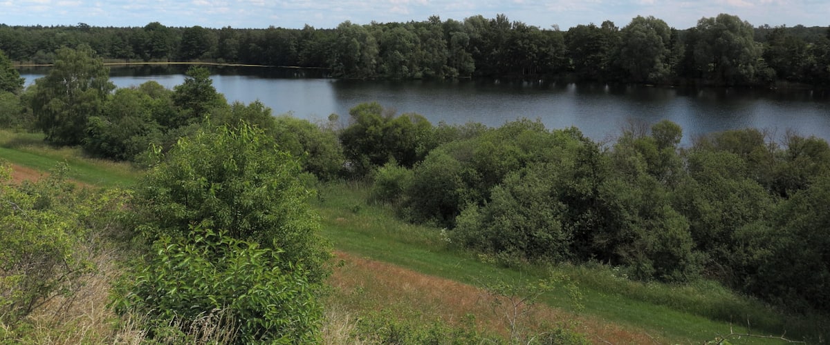 A lake surrounded by dense forest and a clear sky with scattered clouds.