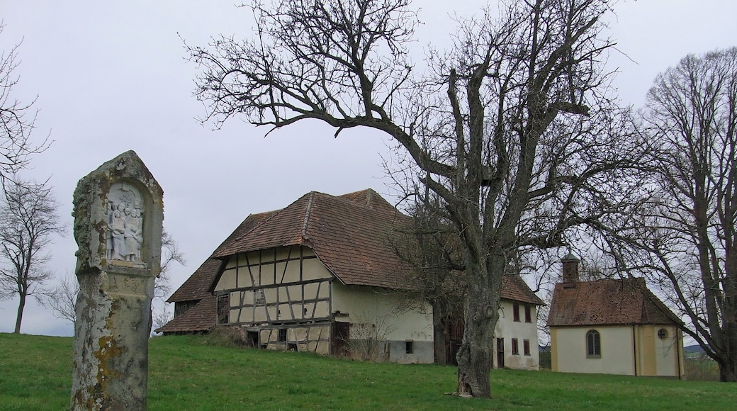 Dietingen - Irslingen - Mariahochheim