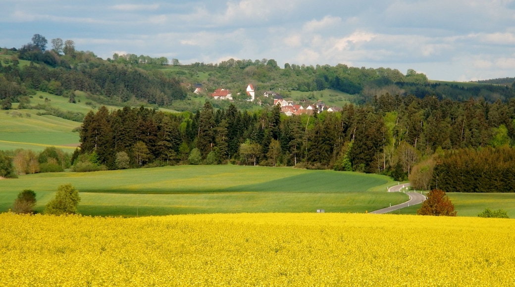 Blick nach Gößlingen