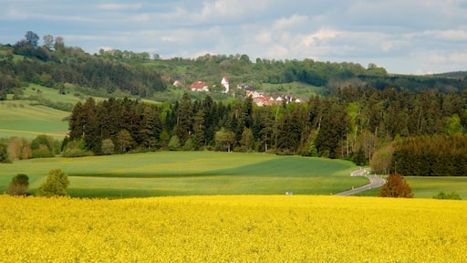 Blick nach GöĂlingen
