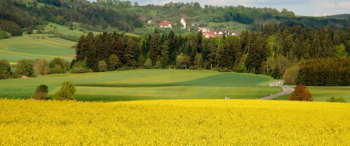 A rural landscape with a field of yellow flowers, rolling hills, and a village with houses and a church in the background.
