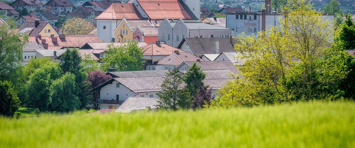 A town with a prominent church tower, surrounded by houses and greenery.