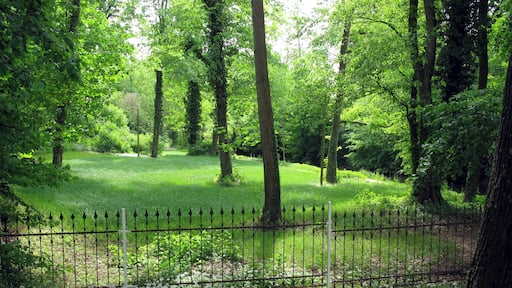 Englischer Garten (privater Teil) in Hugstetten