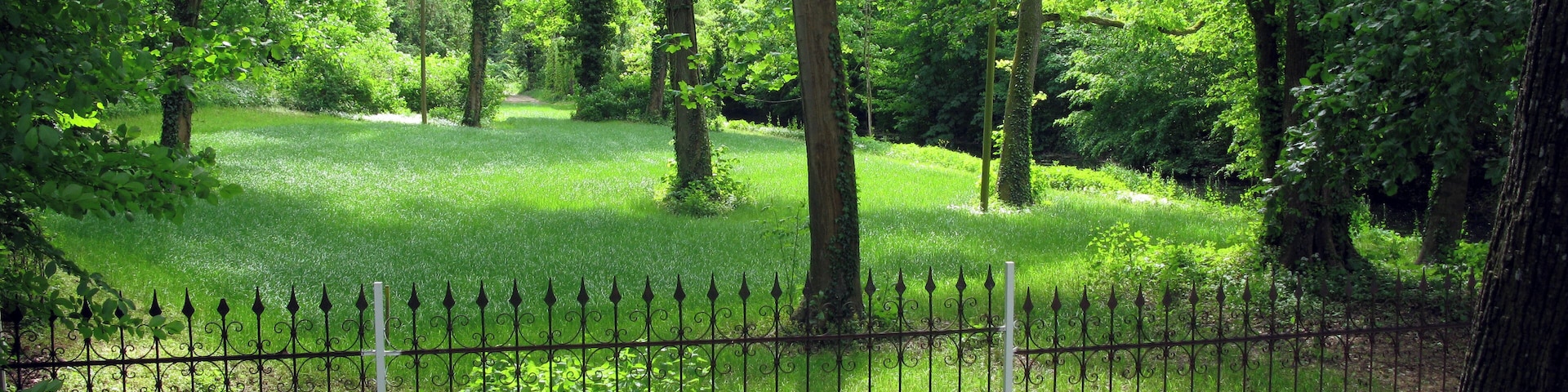 A lush green park with a metal fence, tall trees, and white flowers.