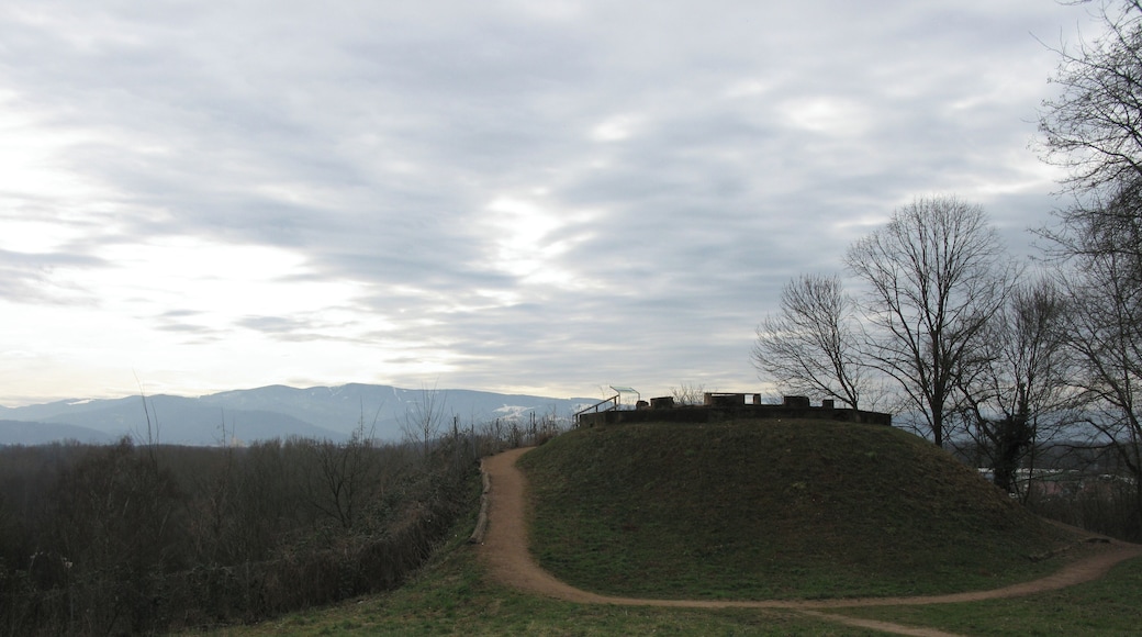 Panorama Belvedere im Englischen Garten in Hugstetten