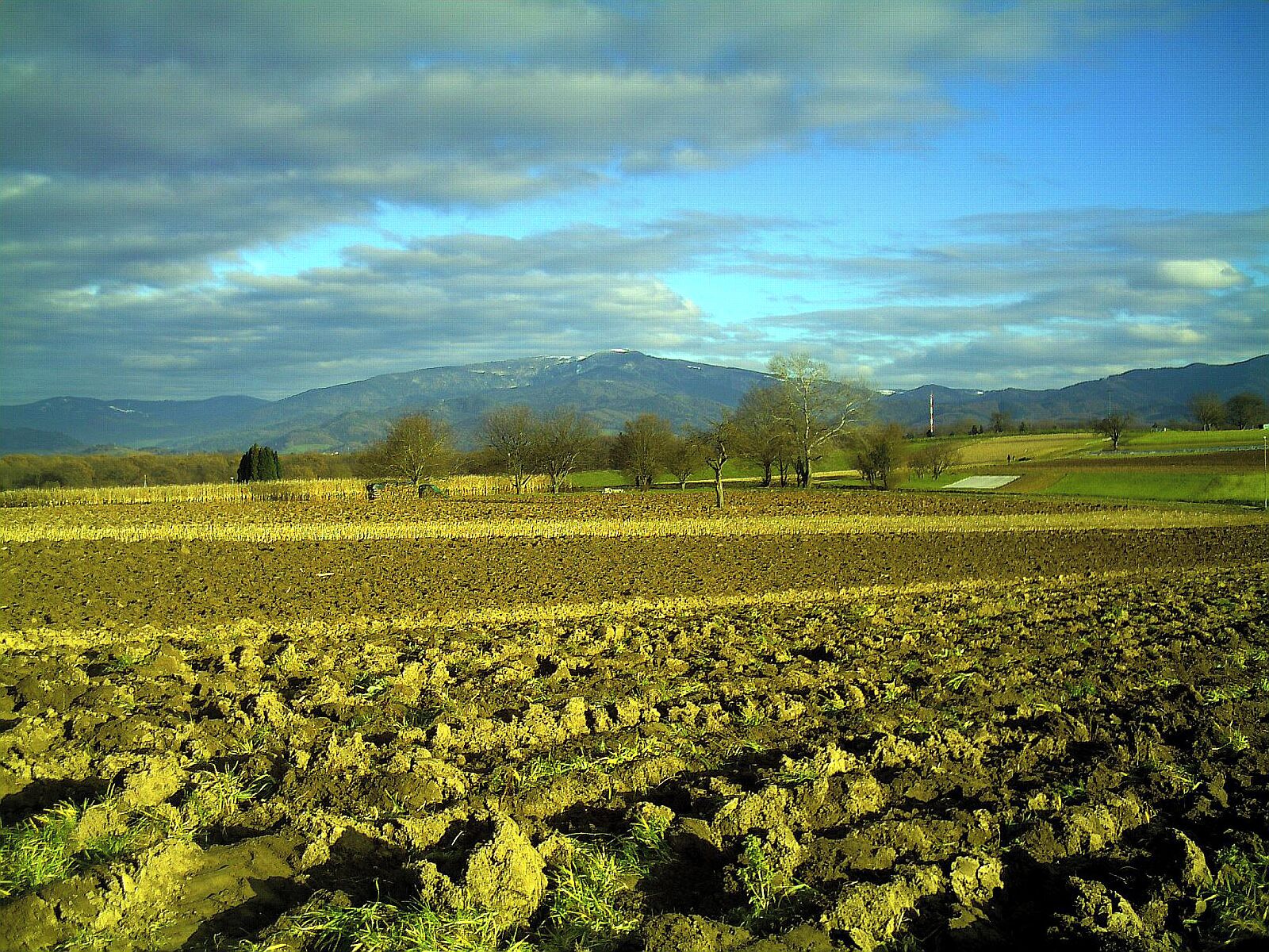 December Leuchtende Sonnwende Mount Kandel 1300 mtr - Master Mythos Black Forest Photography 2013 Mountain View and Sun Valley Freiburg - Tiefster Stand der Sonne