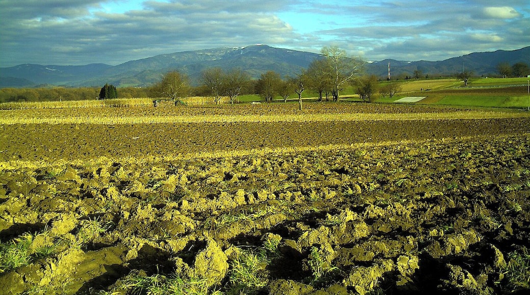 December Leuchtende Sonnwende Mount Kandel 1300 mtr - Master Mythos Black Forest Photography 2013 Mountain View and Sun Valley Freiburg - Tiefster Stand der Sonne