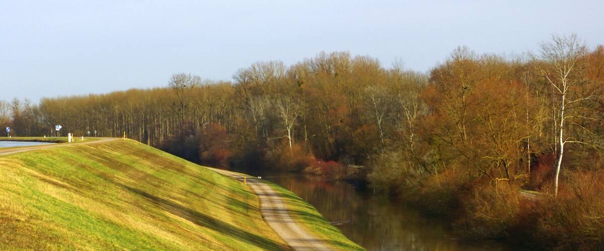 A winding road along a river with grassy banks and trees in autumn colors.