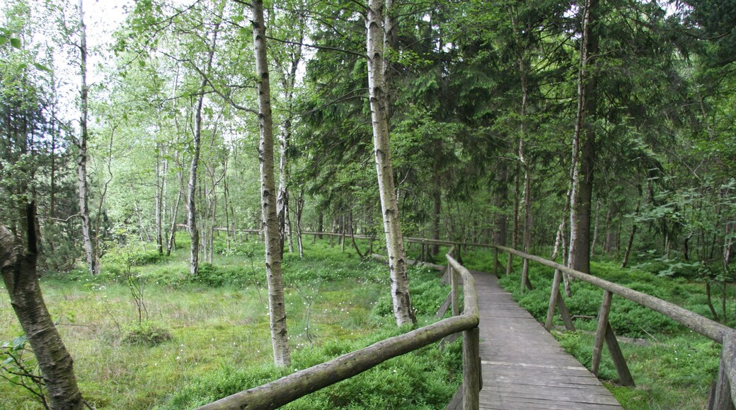 Naturschutzgebiet Hormersdorfer Hochmoor